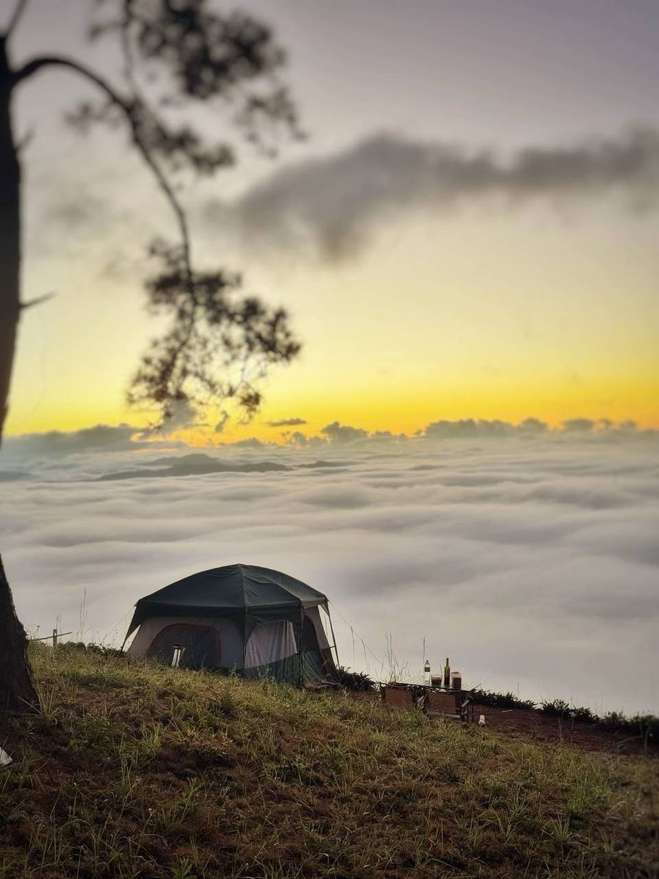 IMAGE 2026-04-04 18:06:03.jpg