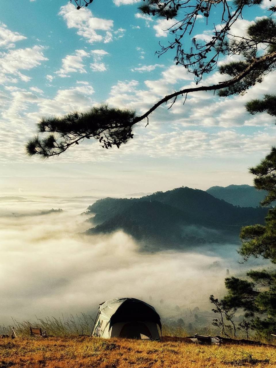 IMAGE 2026-04-04 18:06:08.jpg