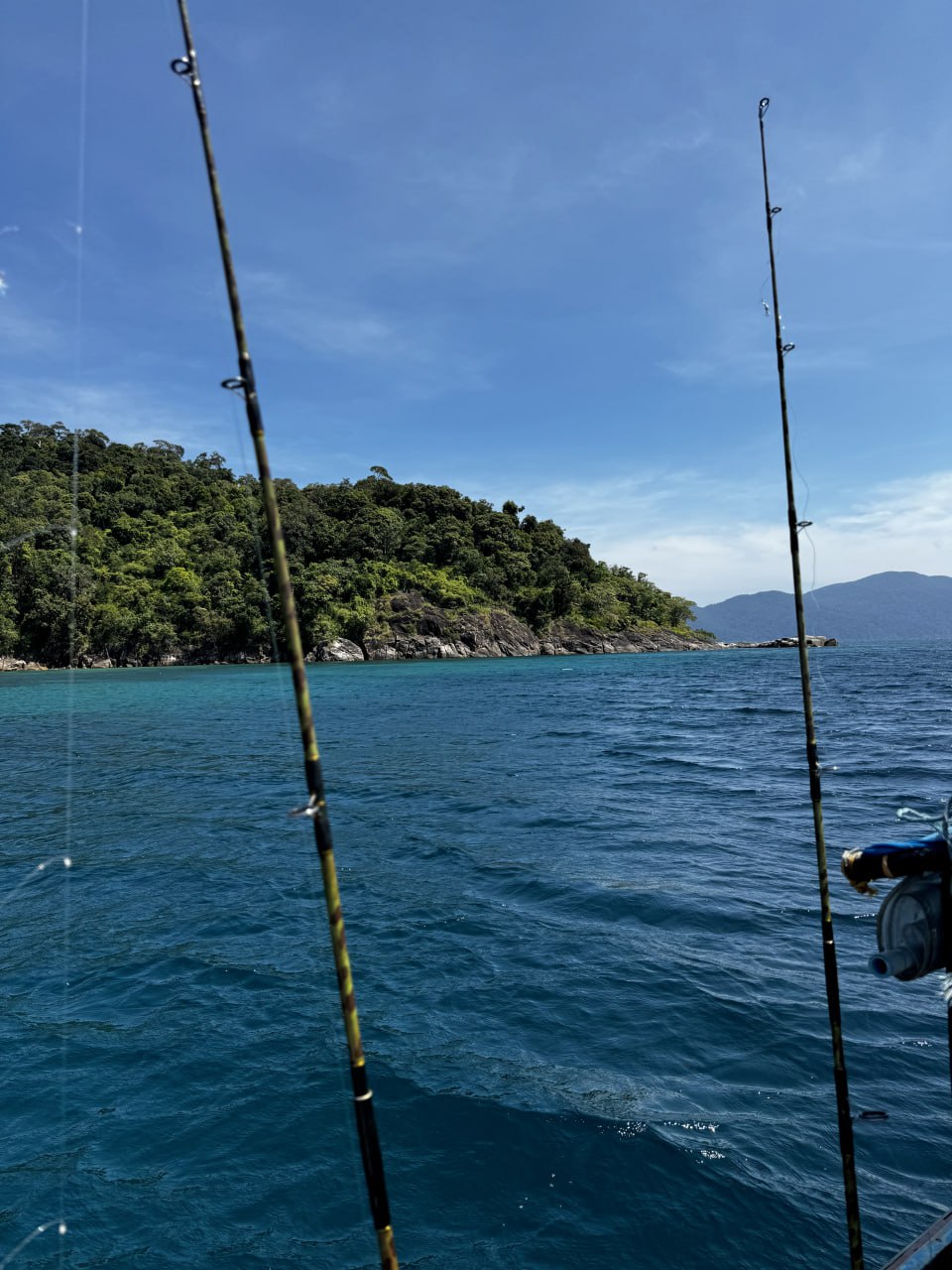 IMAGE 2026-04-05 18:40:05.jpg