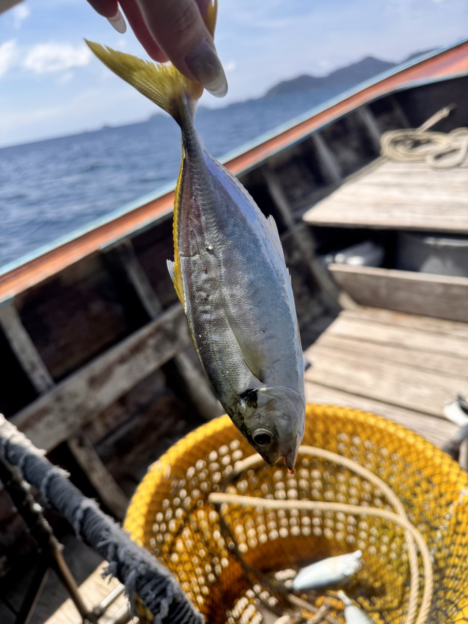 IMAGE 2026-04-05 18:40:08.jpg