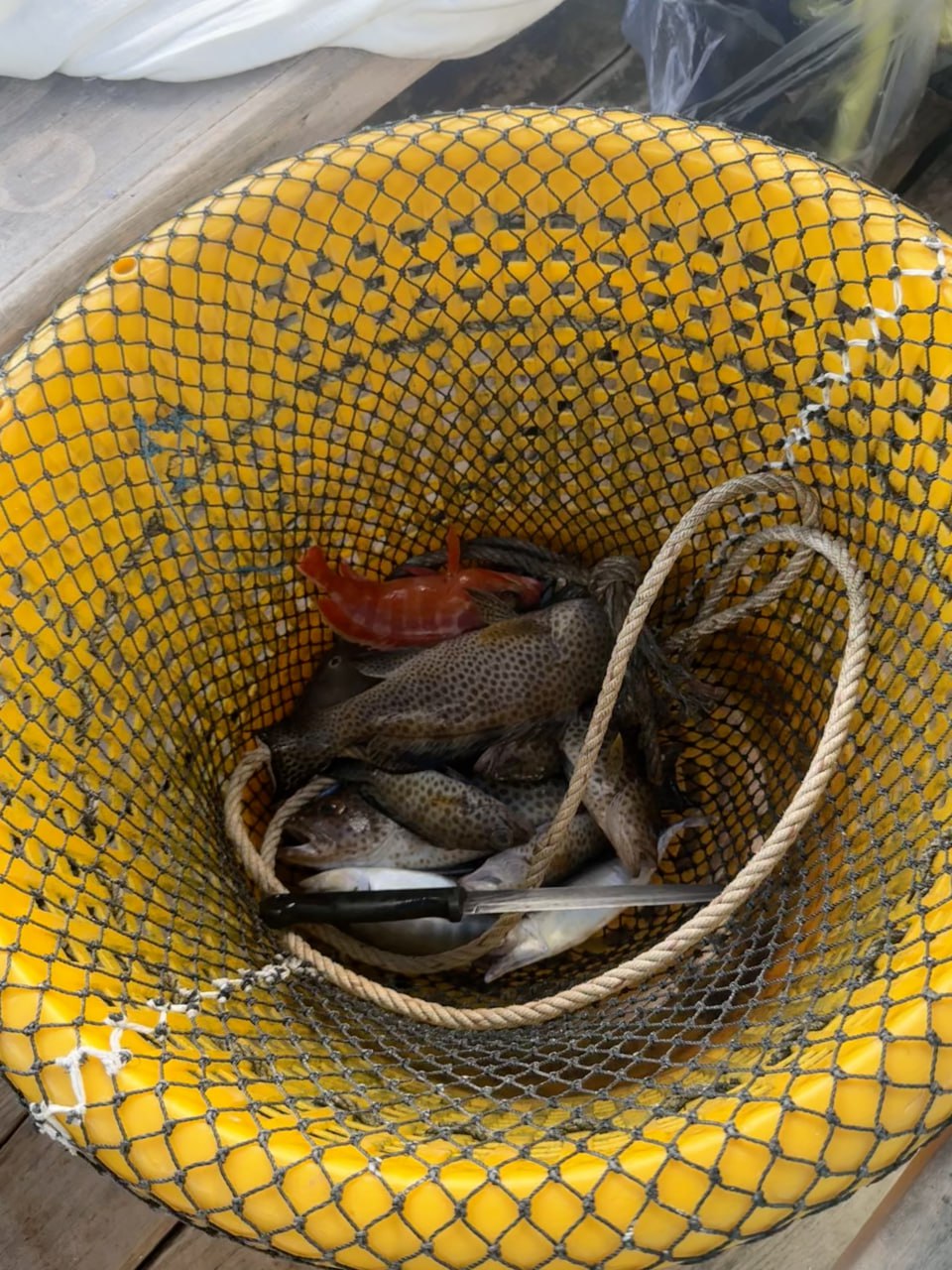 IMAGE 2026-04-05 18:40:10.jpg