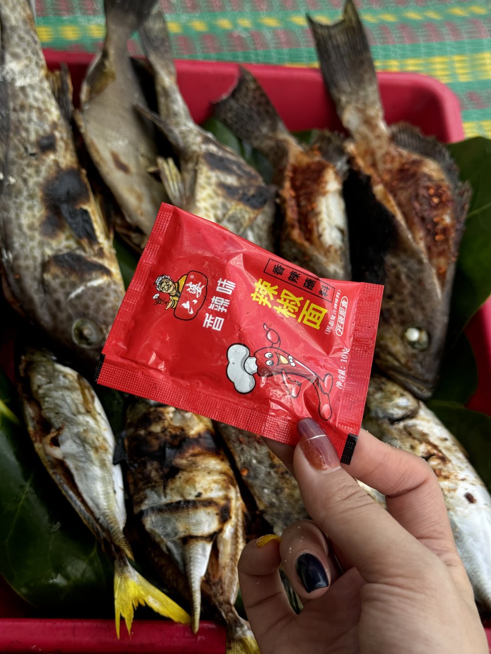 IMAGE 2026-04-05 18:40:15.jpg