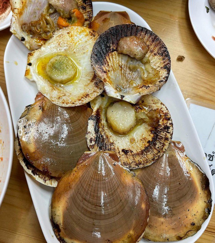 IMAGE 2026-04-06 16:09:09.jpg