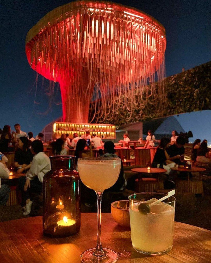 IMAGE 2026-04-06 16:20:02.jpg