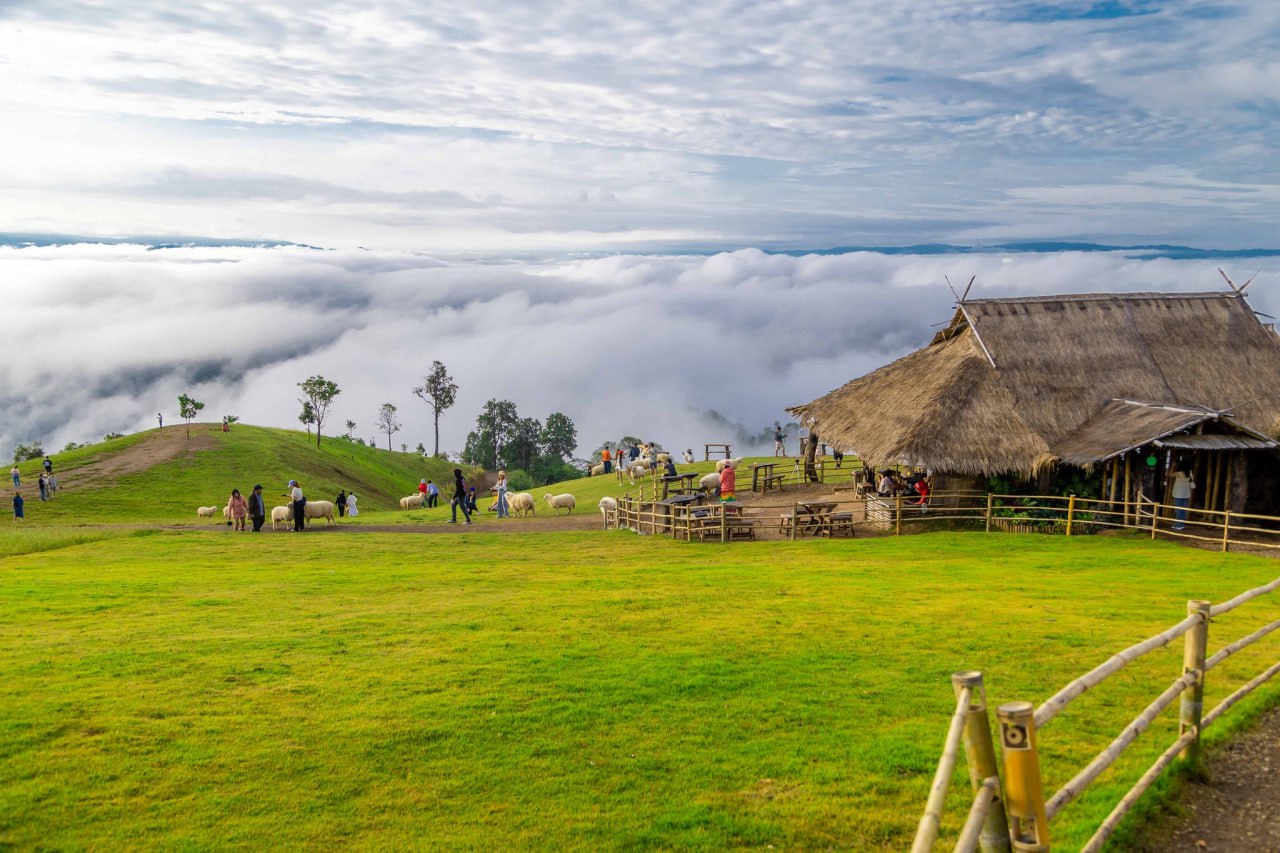 IMAGE 2026-04-07 14:06:05.jpg