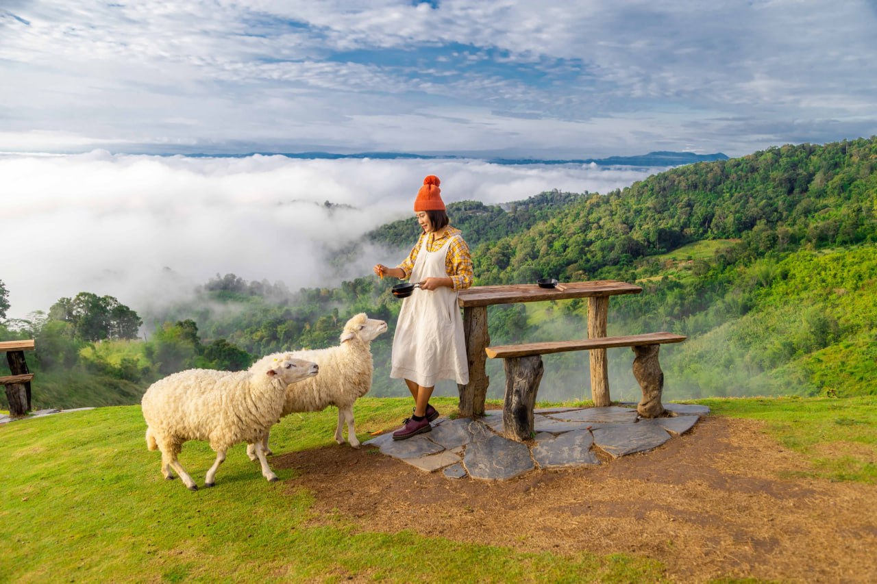 IMAGE 2026-04-07 14:06:07.jpg