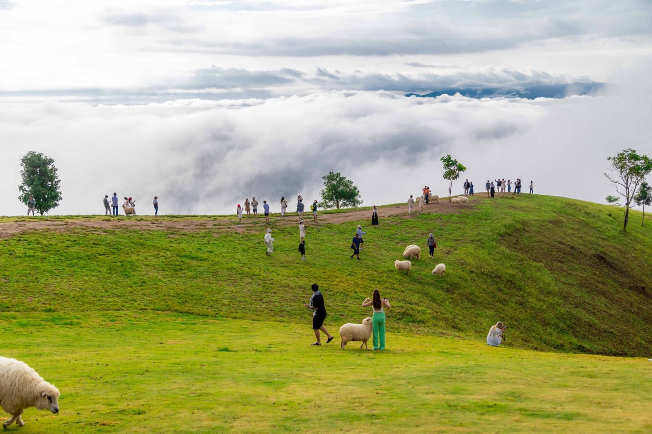 IMAGE 2026-04-07 14:06:08.jpg