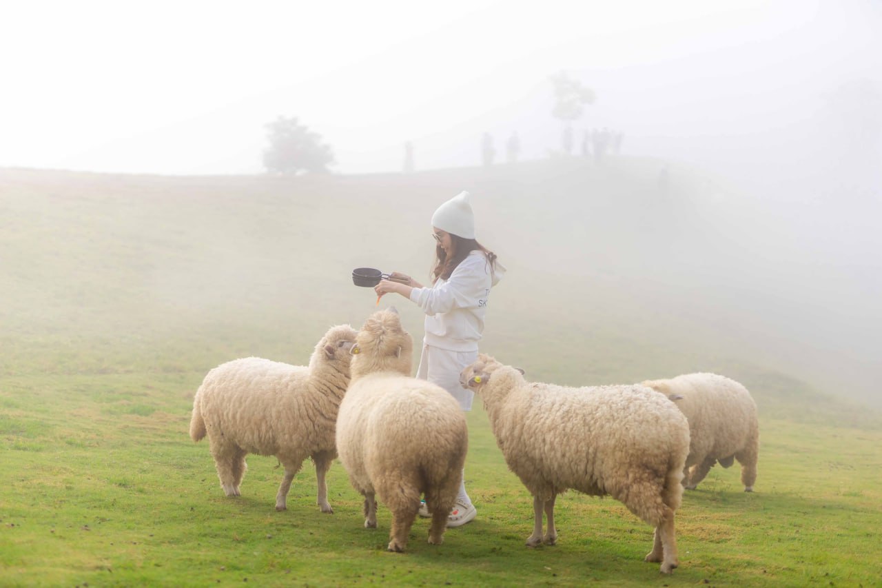 IMAGE 2026-04-07 14:06:11.jpg