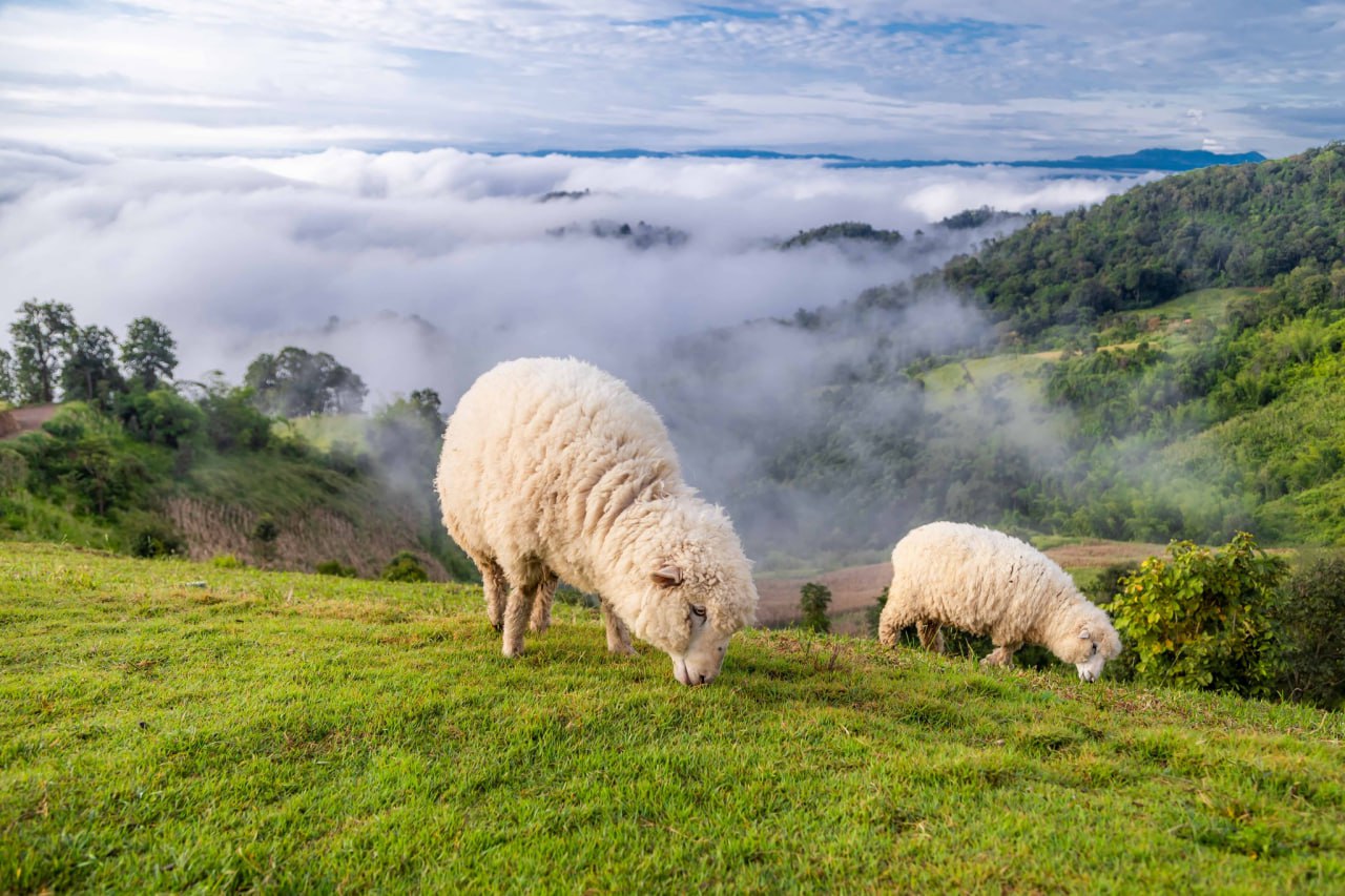 IMAGE 2026-04-07 14:06:10.jpg