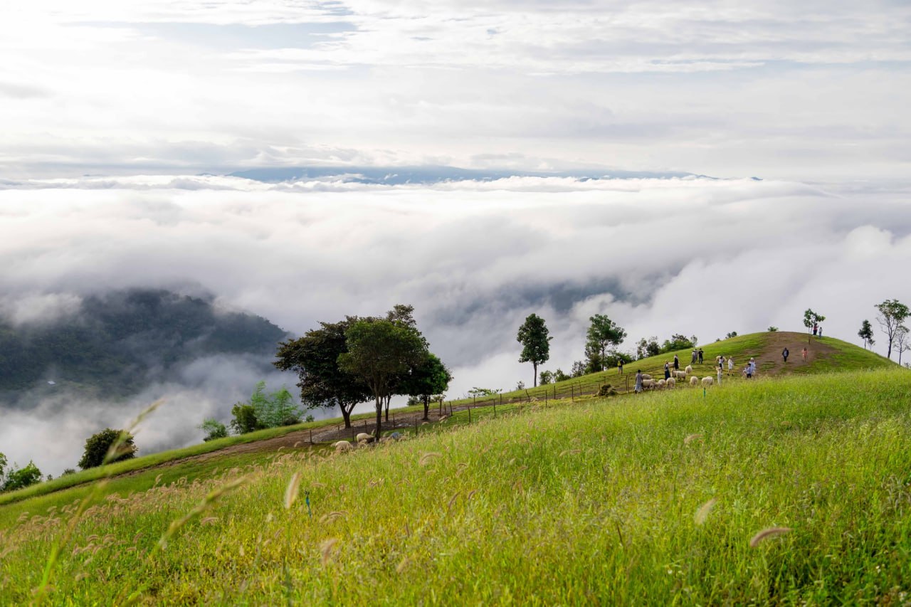 IMAGE 2026-04-07 14:06:12.jpg