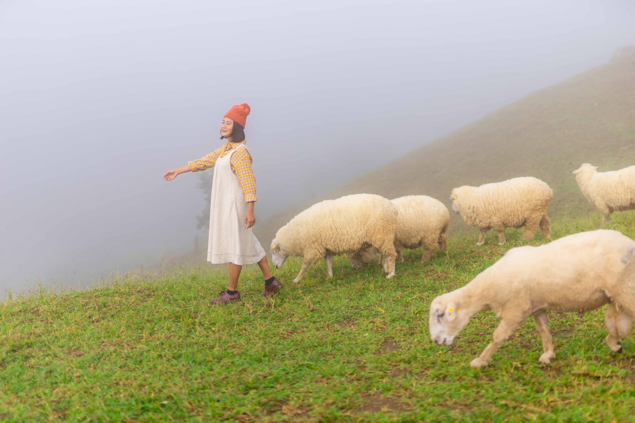 IMAGE 2026-04-07 14:06:14.jpg