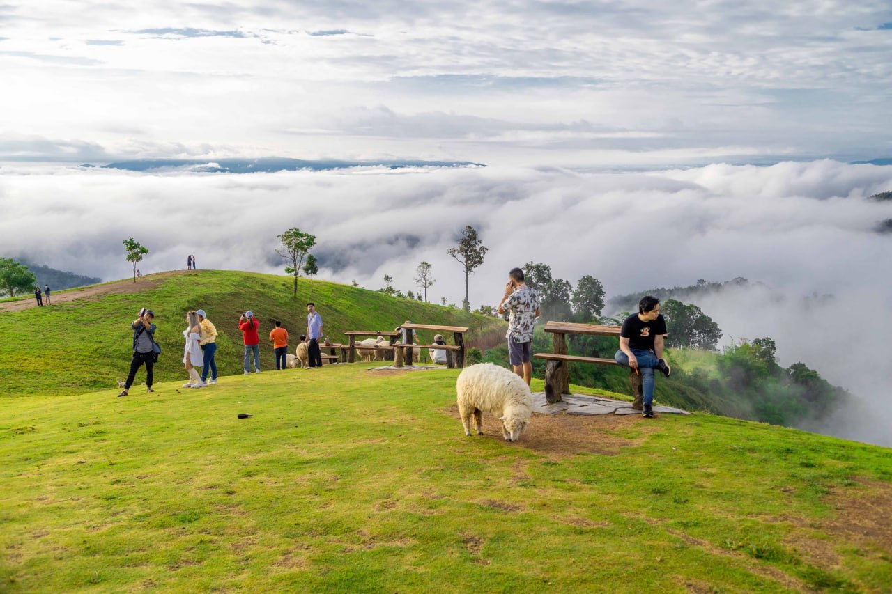 IMAGE 2026-04-07 14:06:16.jpg