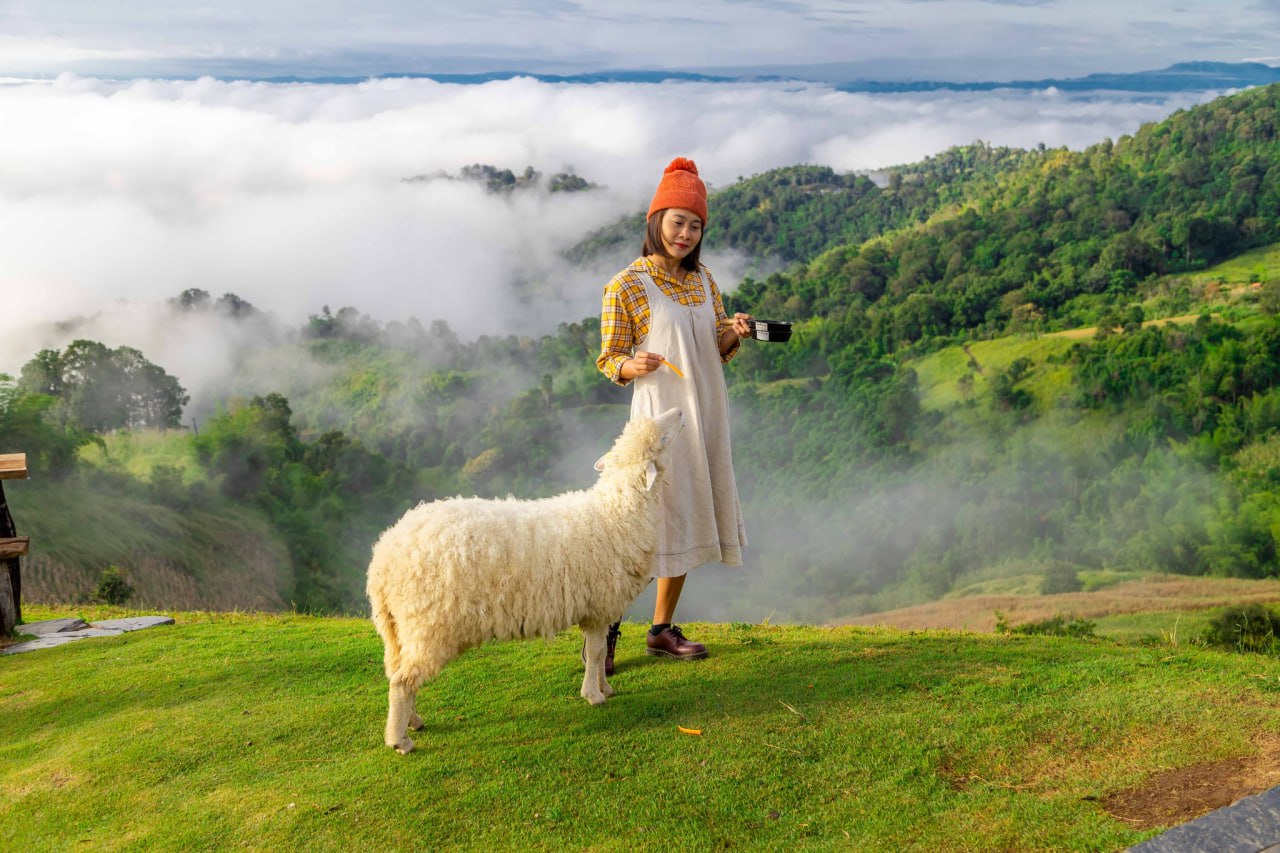 IMAGE 2026-04-07 14:06:17.jpg