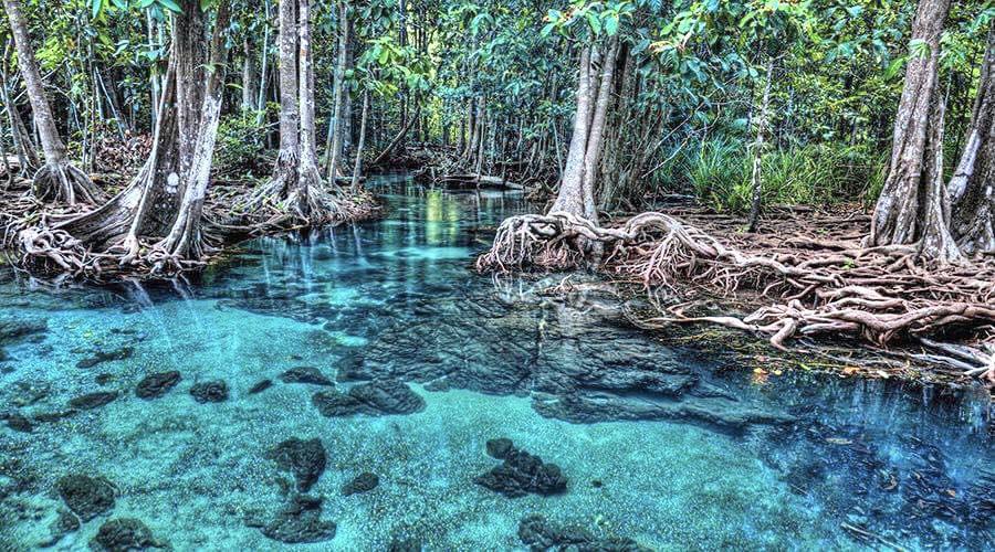 IMAGE 2026-04-09 13:31:19.jpg