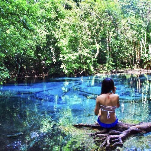 IMAGE 2026-04-09 13:31:21.jpg