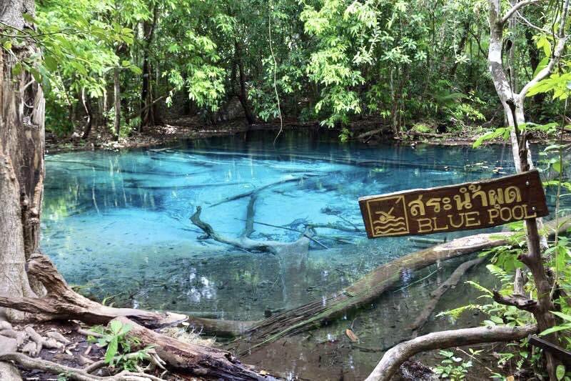 IMAGE 2026-04-09 13:31:28.jpg