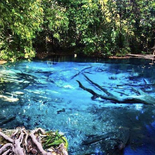 IMAGE 2026-04-09 13:31:30.jpg