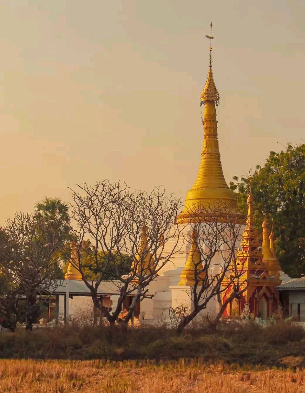 IMAGE 2026-04-09 13:33:05.jpg