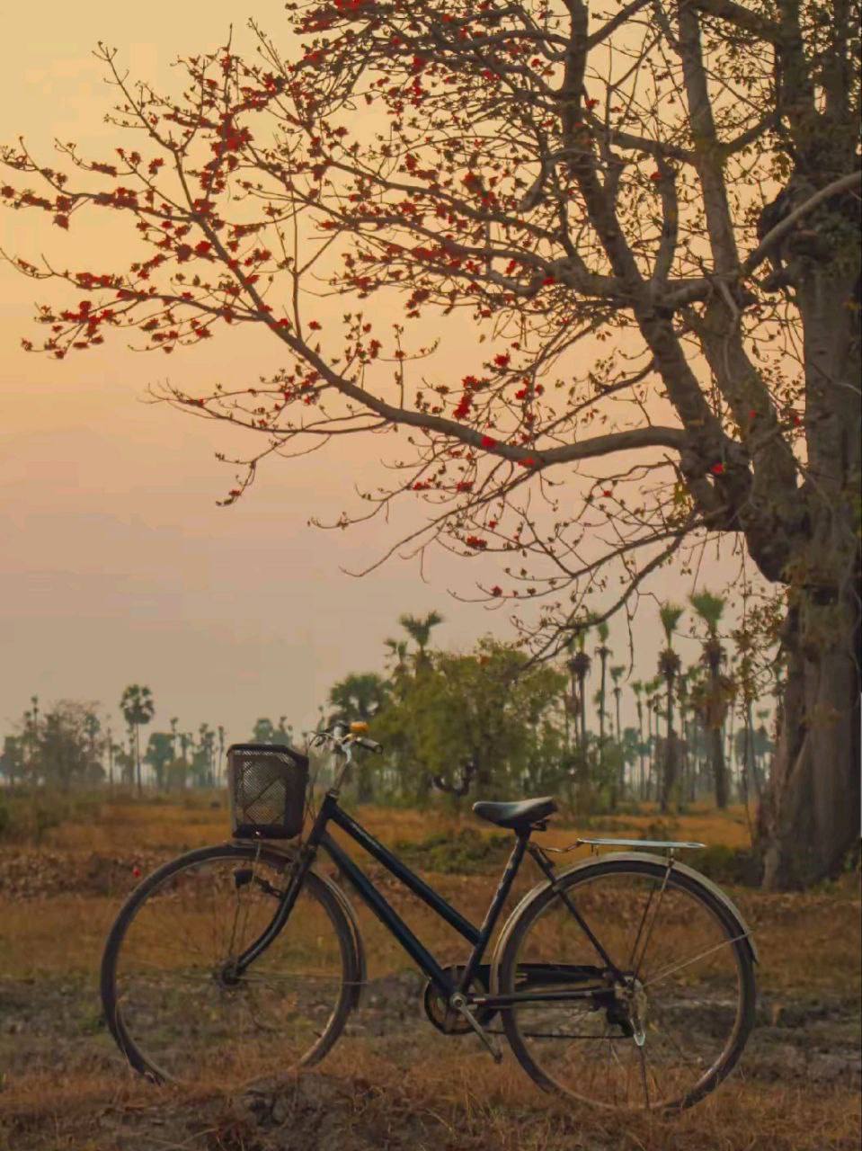 IMAGE 2026-04-09 13:33:06.jpg