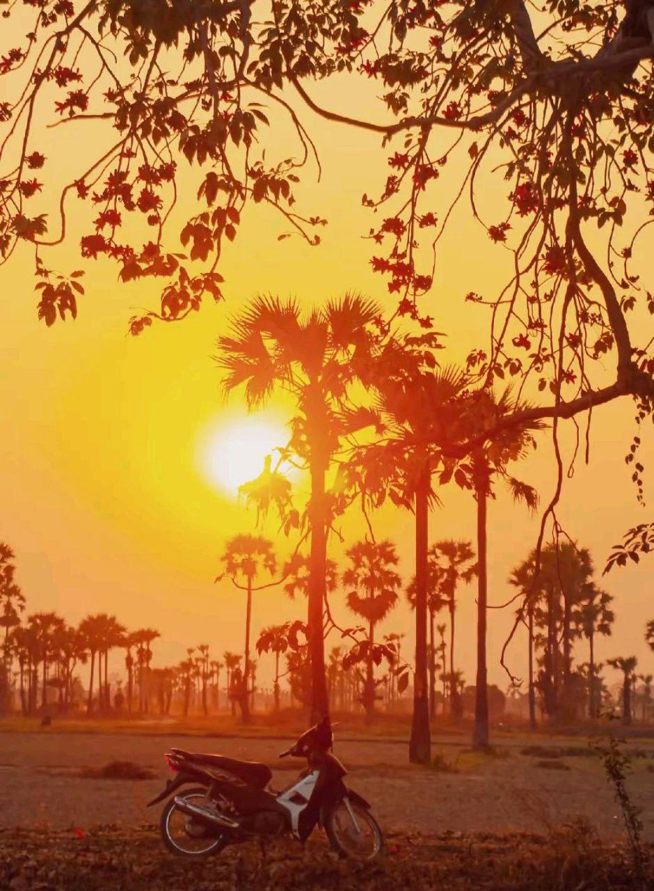 IMAGE 2026-04-09 13:33:07.jpg