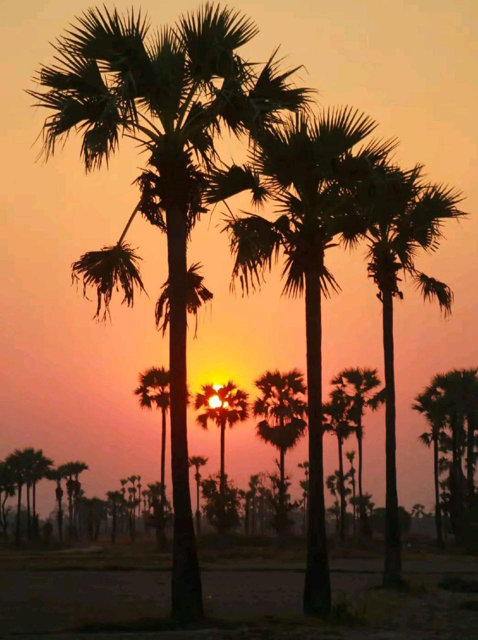 IMAGE 2026-04-09 13:33:12.jpg