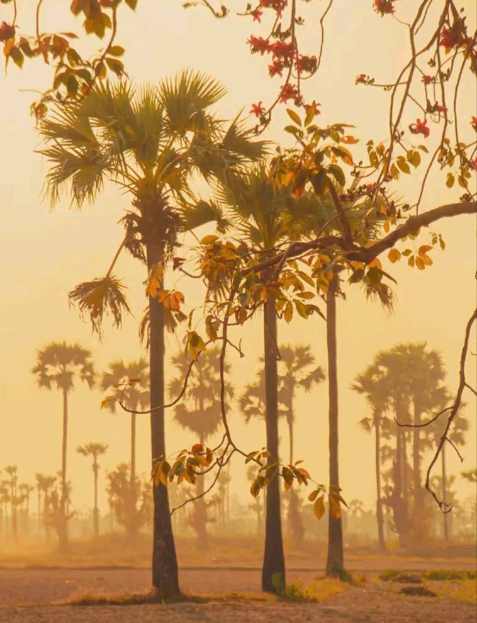 IMAGE 2026-04-09 13:33:09.jpg