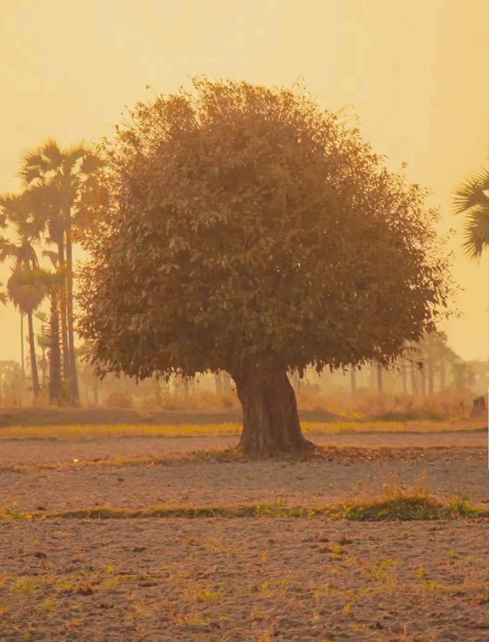 IMAGE 2026-04-09 13:33:14.jpg