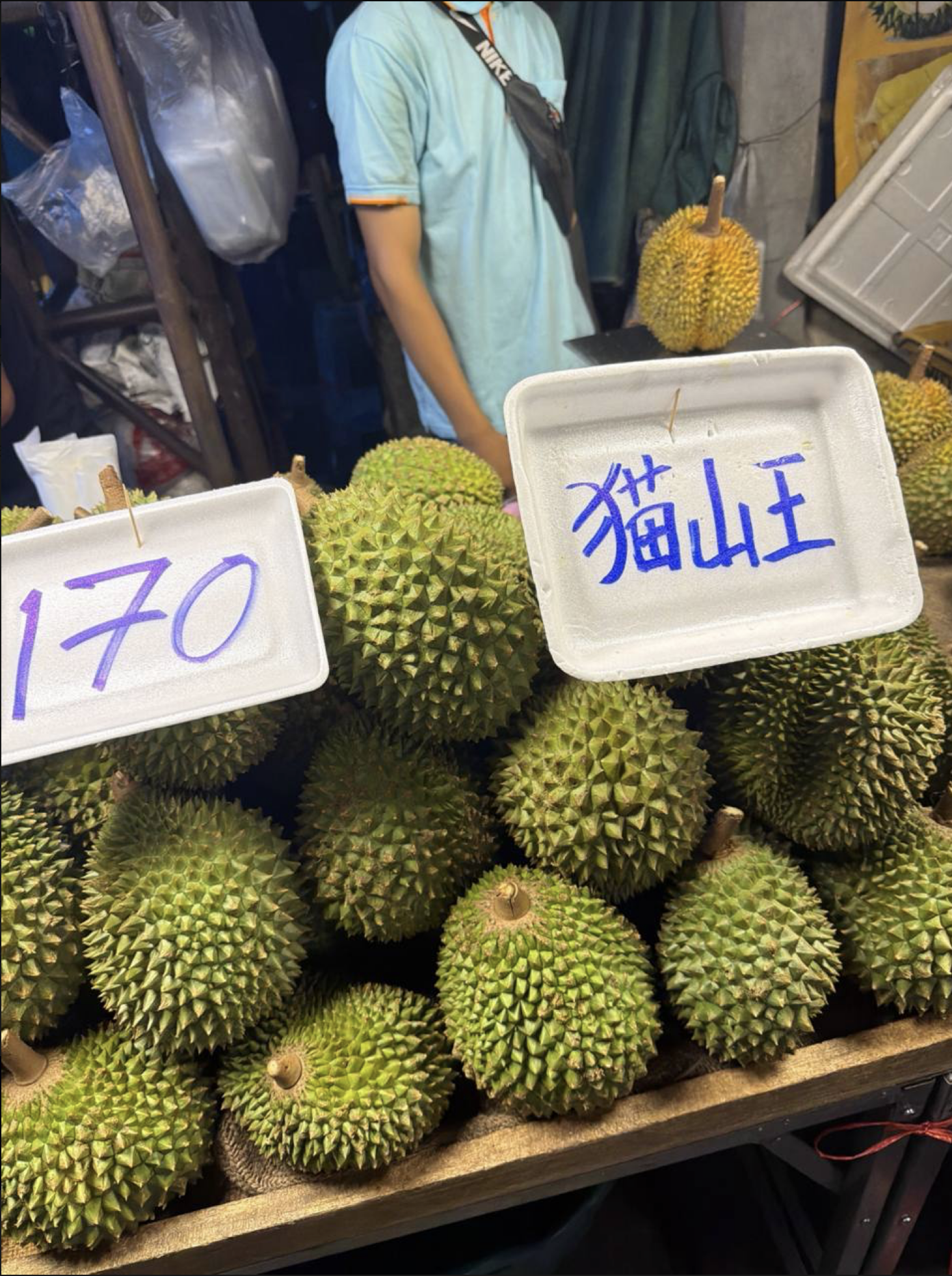 Pasted Graphic 9.png