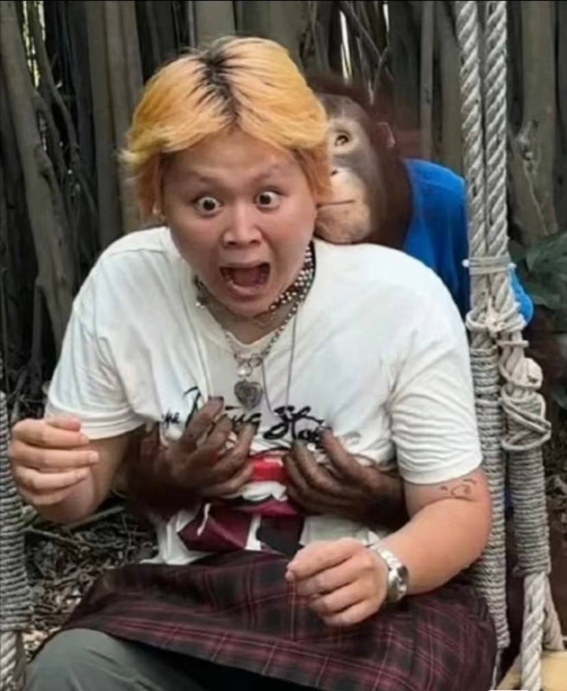 IMAGE 2026-04-11 14:22:36.jpg