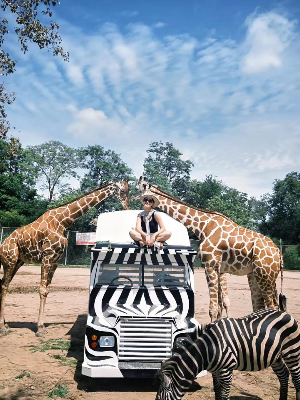 IMAGE 2026-04-13 13:09:21.jpg