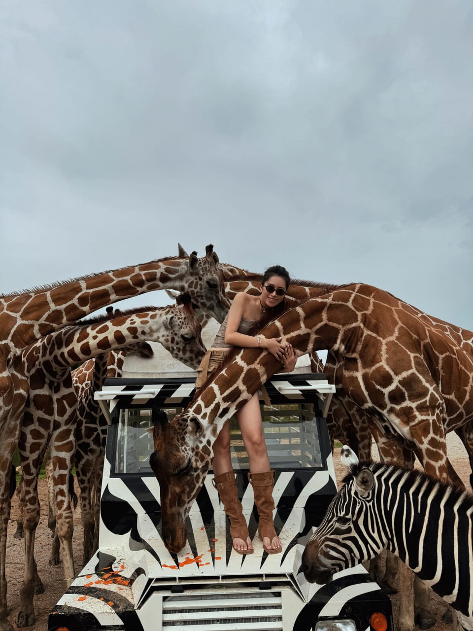 IMAGE 2026-04-13 13:09:22.jpg