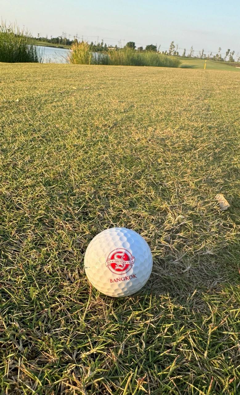 IMAGE 2026-04-13 13:13:52.jpg