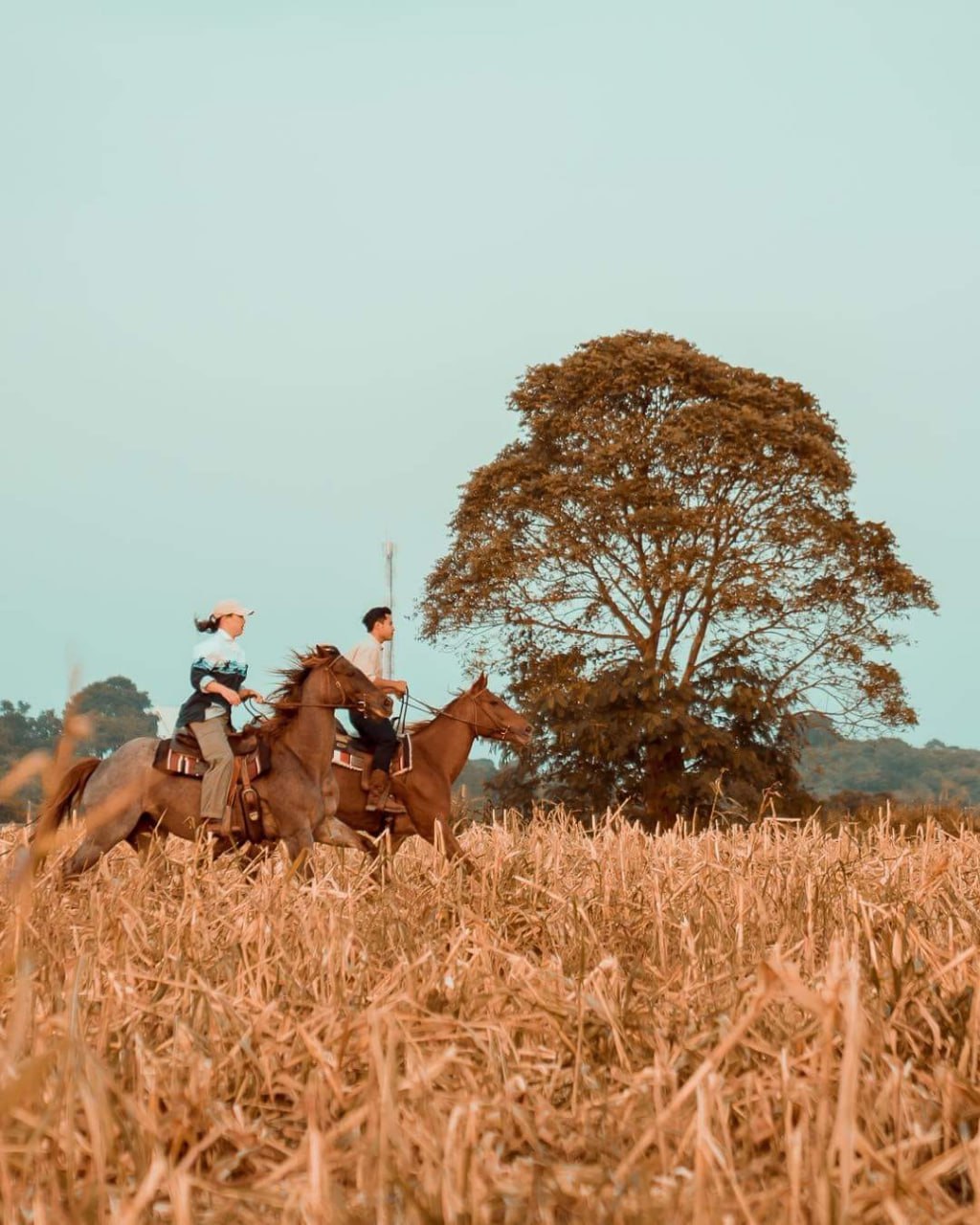 IMAGE 2026-04-14 13:16:14.jpg