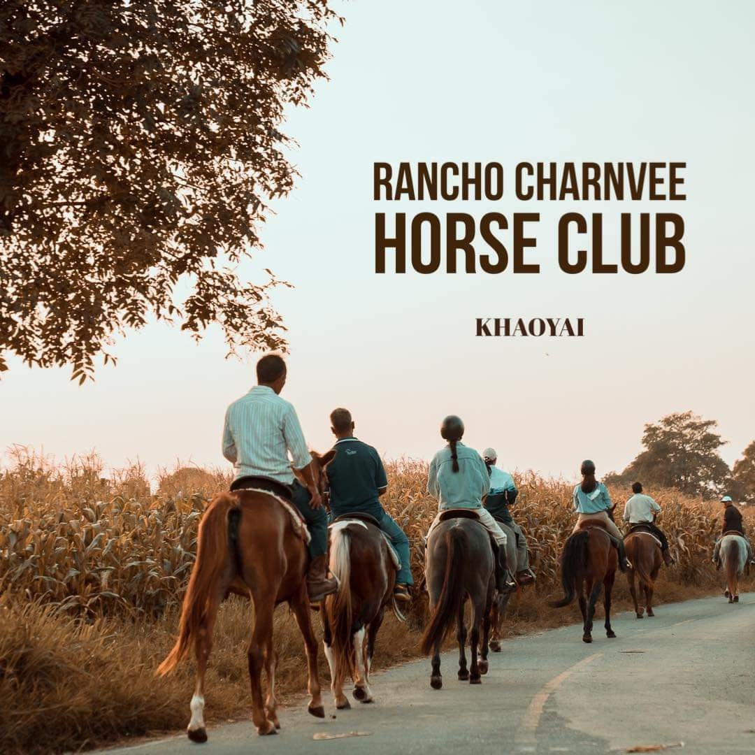 IMAGE 2026-04-14 13:16:18.jpg