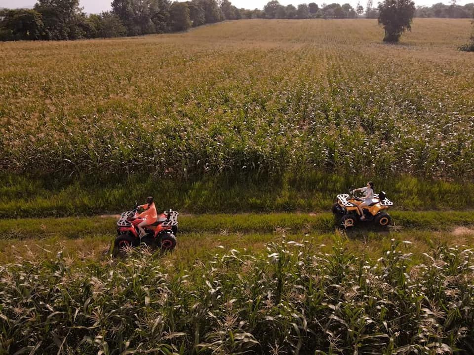 IMAGE 2026-04-14 13:16:25.jpg