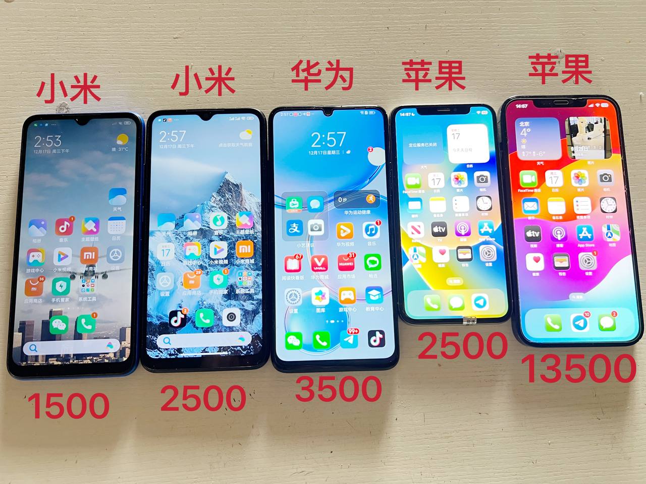 IMAGE 2026-04-14 13:19:18.jpg