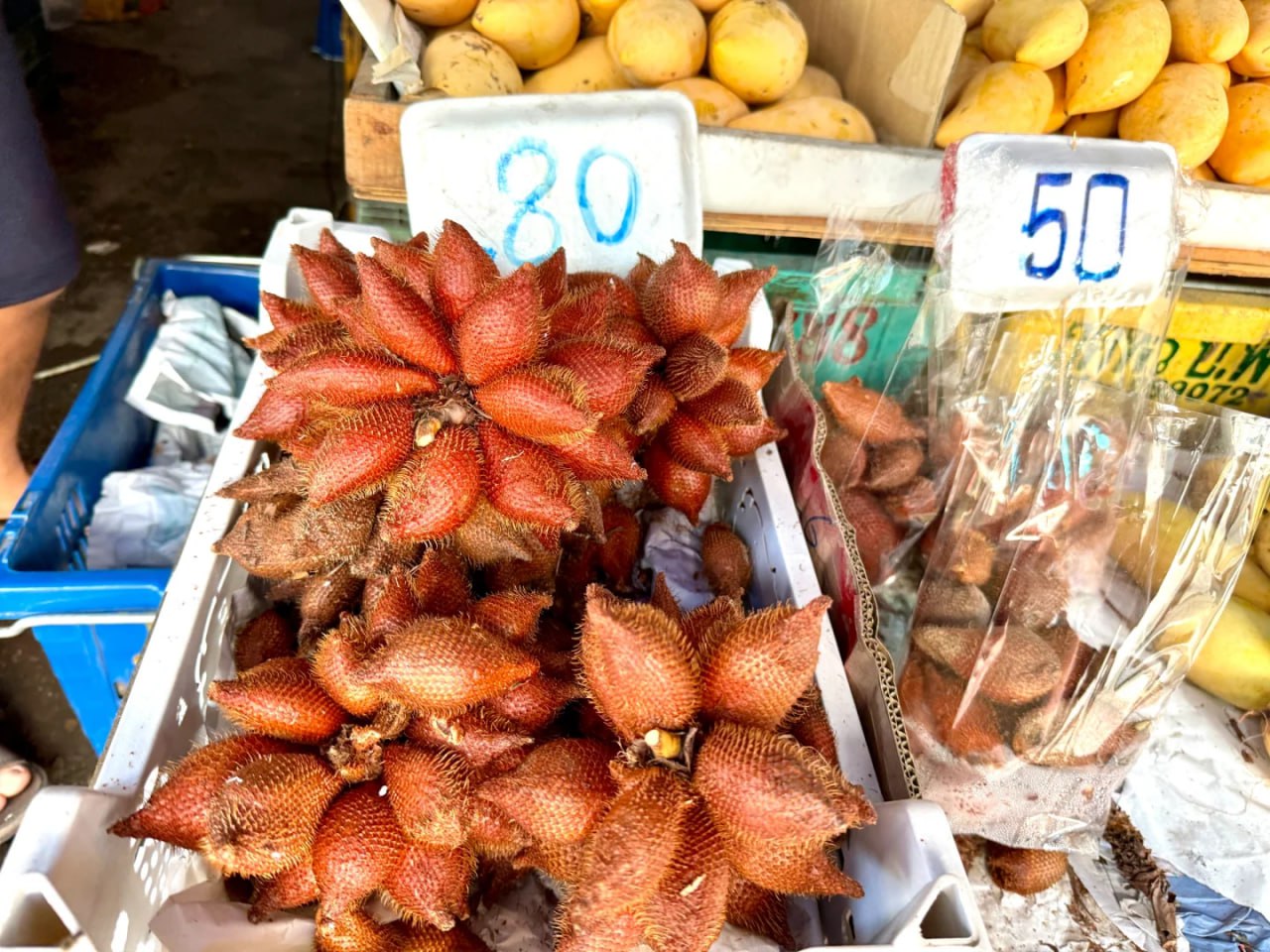 IMAGE 2026-04-16 11:39:24.jpg