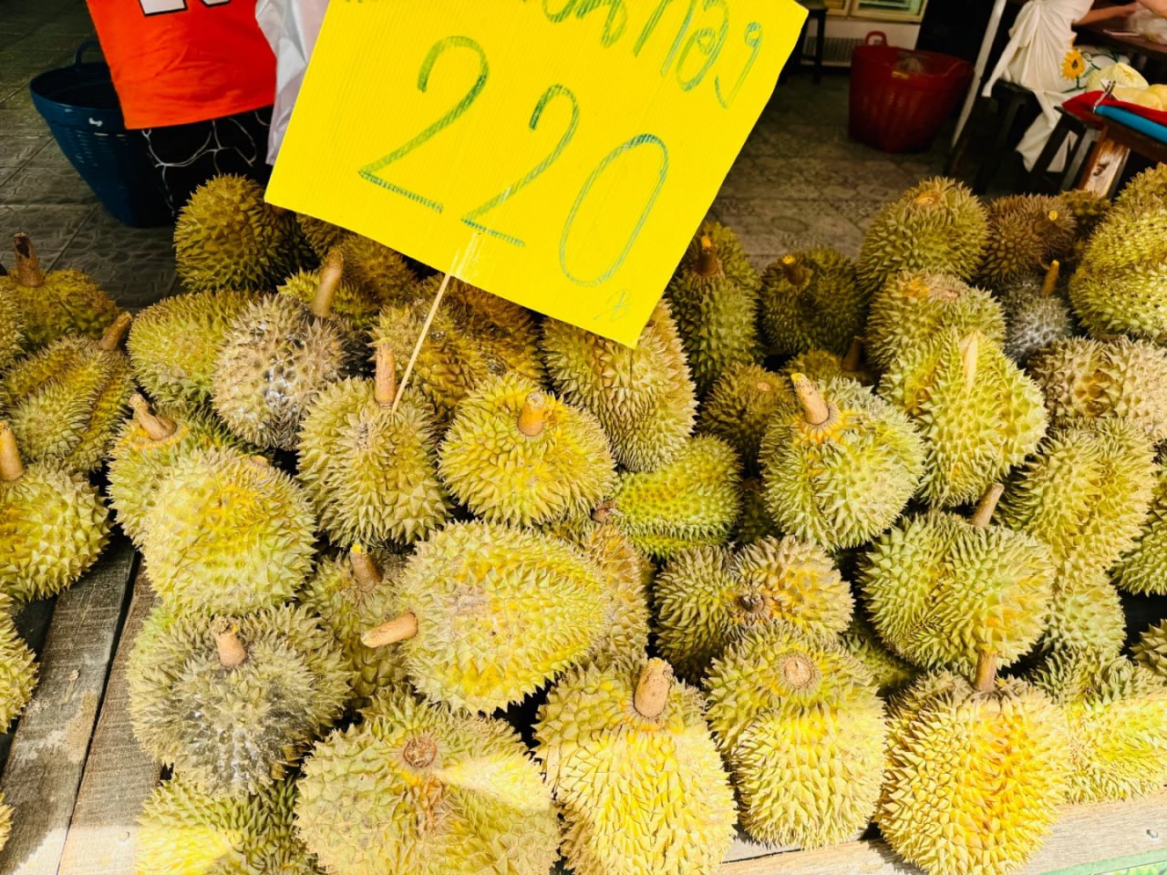 IMAGE 2026-04-16 11:39:27.jpg