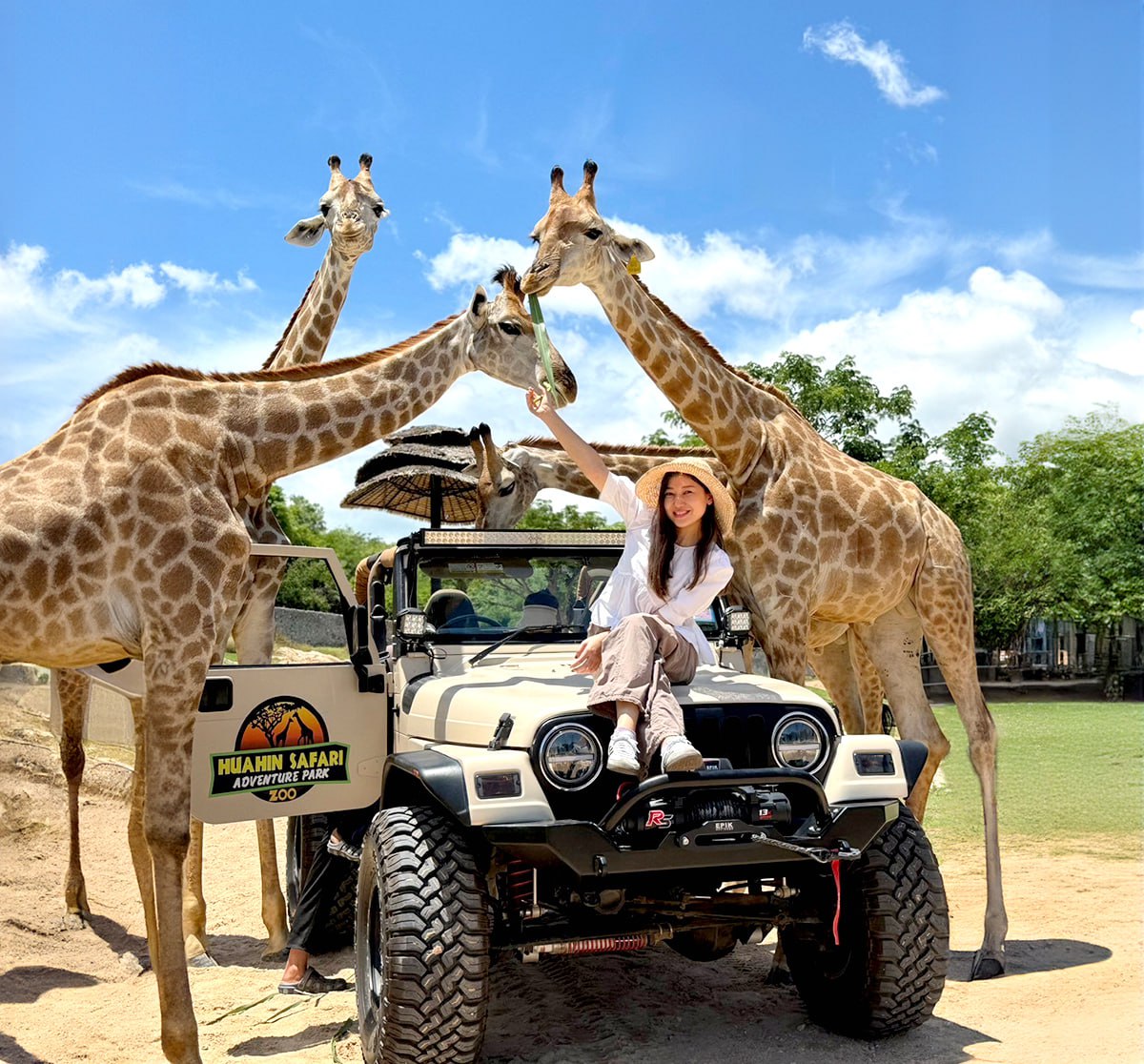 IMAGE 2026-04-17 11:12:02.jpg