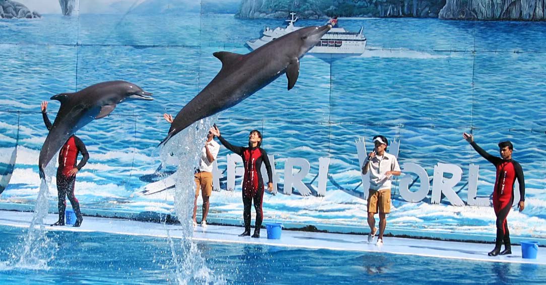 IMAGE 2026-04-17 11:12:05.jpg