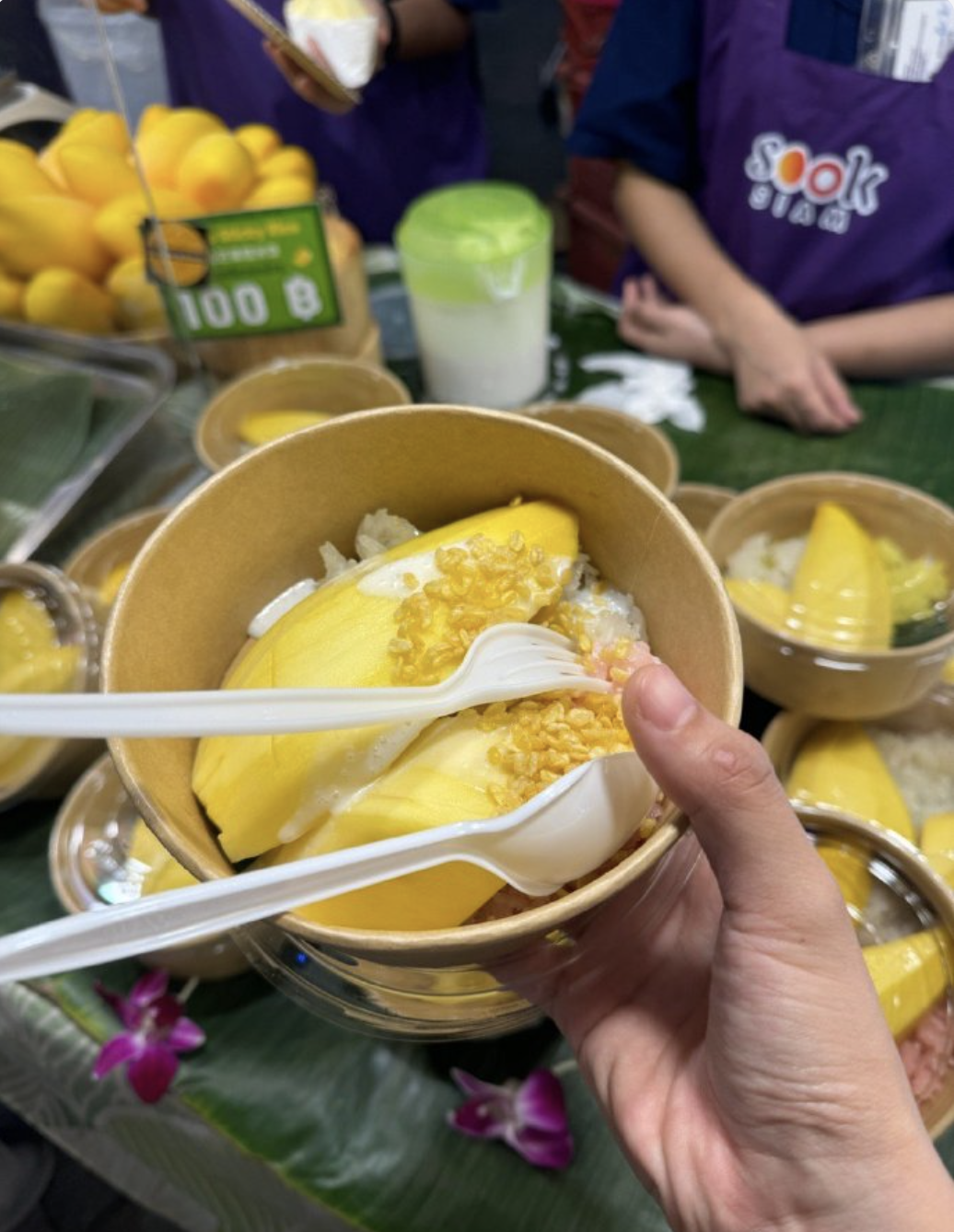 Pasted Graphic 16.png