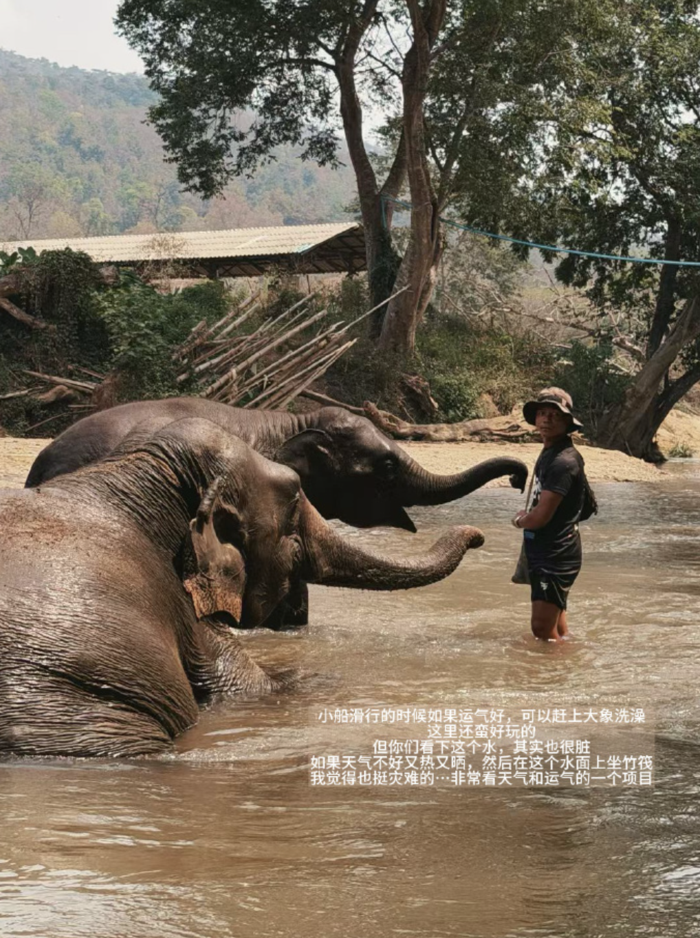 Pasted Graphic 4.png