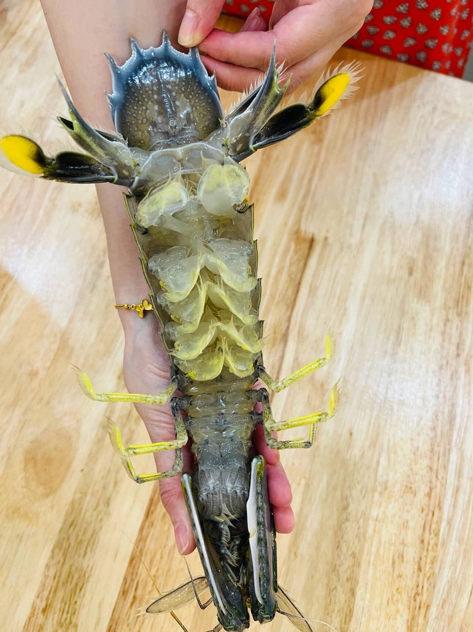 IMAGE 2026-04-22 14:32:31.jpg