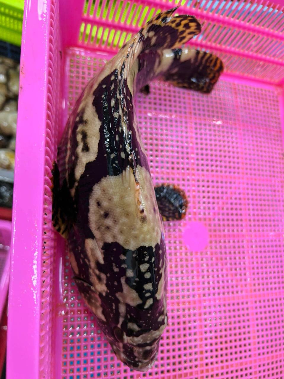 IMAGE 2026-04-22 14:32:33.jpg