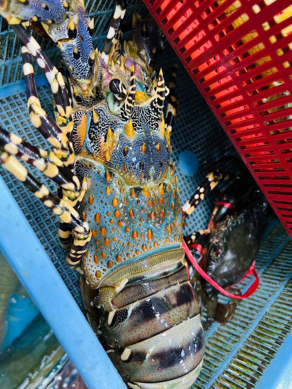 IMAGE 2026-04-22 14:32:35.jpg