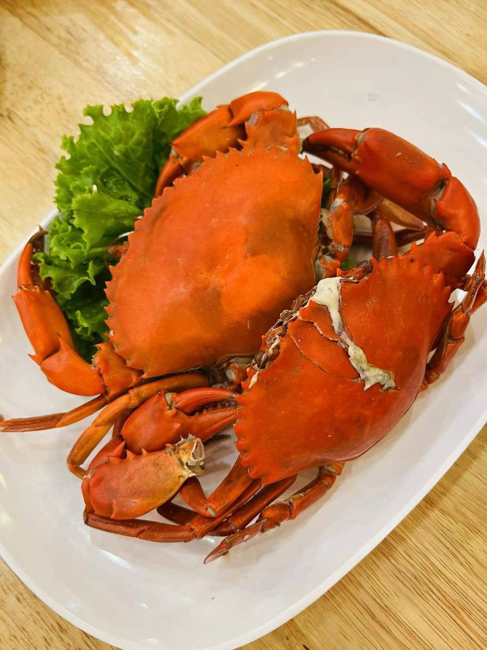 IMAGE 2026-04-22 14:32:39.jpg