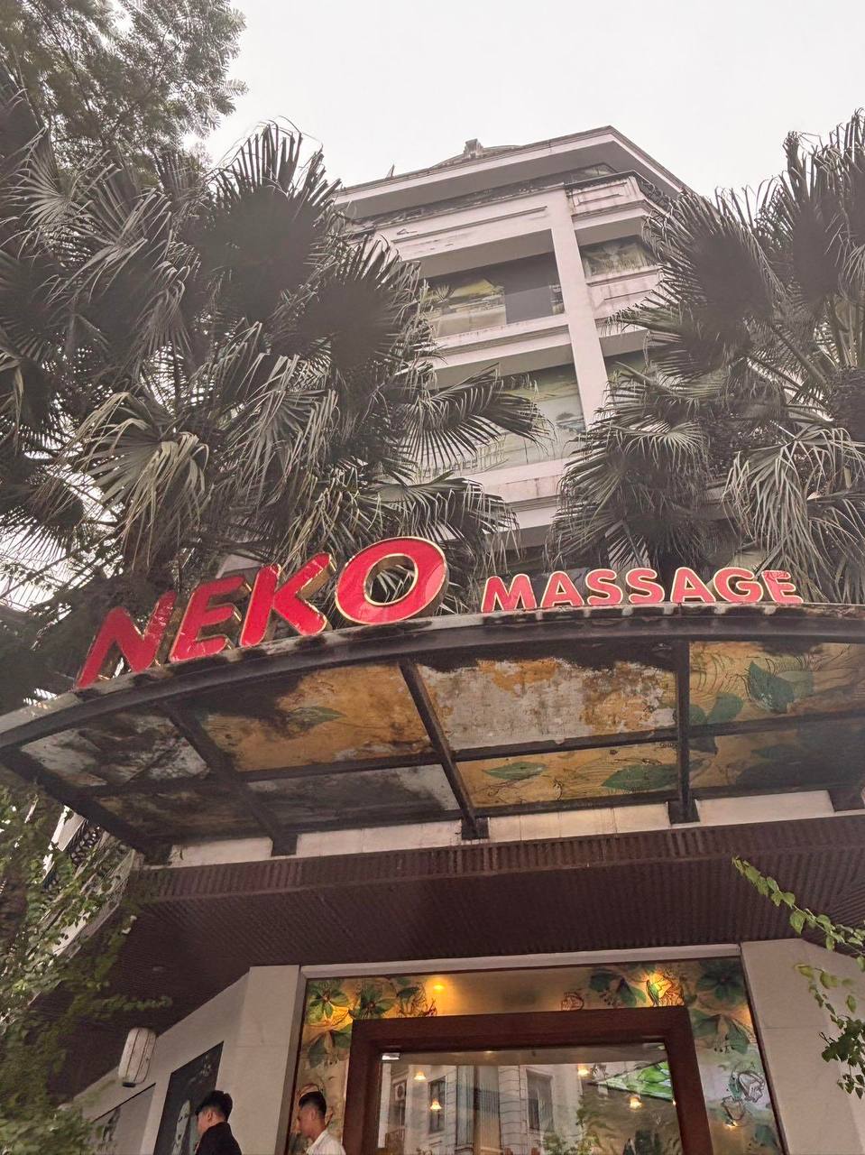 IMAGE 2026-04-22 14:45:48.jpg