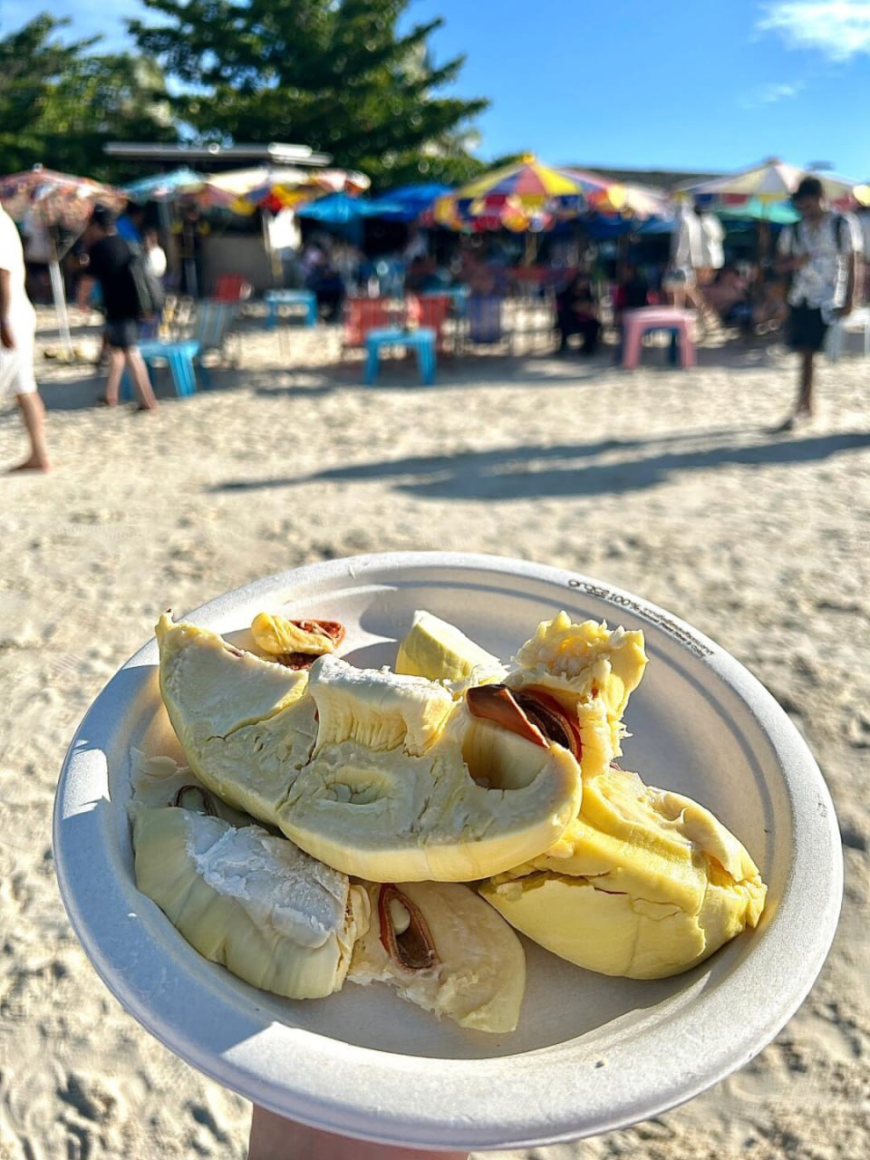 IMAGE 2026-04-23 14:34:21.jpg