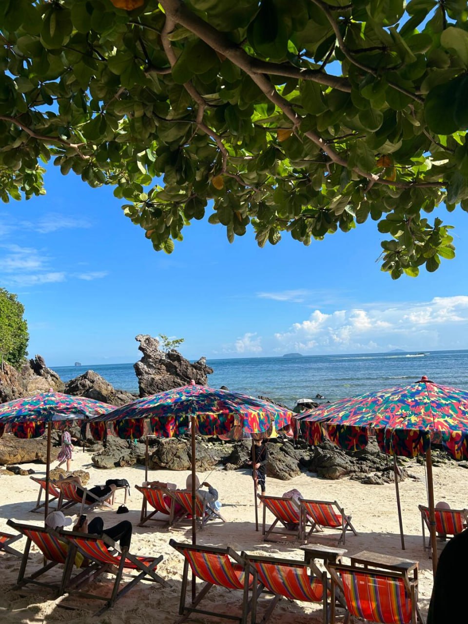 IMAGE 2026-04-23 14:34:31.jpg