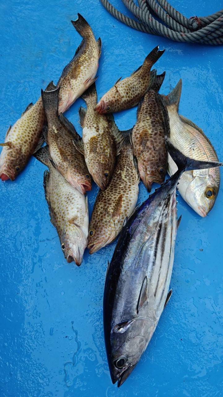 IMAGE 2026-04-23 14:44:17.jpg